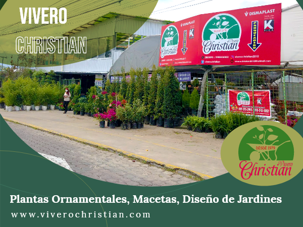 Vivero de Plantas Ornamentales, Diseño de Jardines, Mantenimiento, Plantas frutales, medicinales, abonos, macetas - Vivero Christian