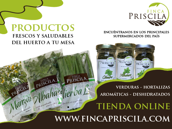 Verduras, Hortalizas, Hierbas aromáticas frescas, hierbas deshidratadas, albahaca, hierbaluisa, cilantro, apio, zanahoria, cebollin, maggi, perejil, conservas