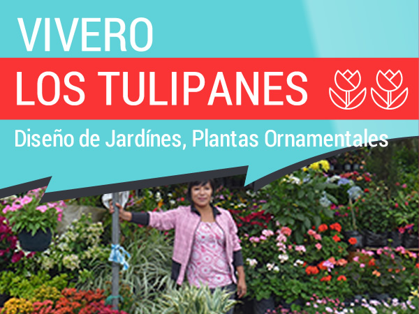 Vivero Tulipanes, Diseño y Decoración de Jardines, Decoración con plantas y accesorios, macetas, Colocación de Césped, venta de plantas frutales, arboles, medicinales, huerto