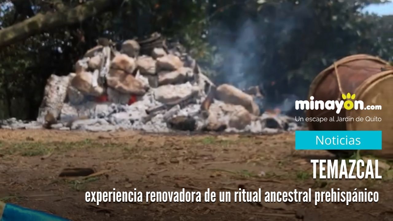 Temazcal, experiencia renovadora de un ritual ancestral prehispánico 
