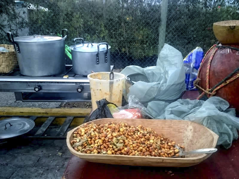 Festival Gastronómico y Plantas Ornamentales en San Pedro de El Valle