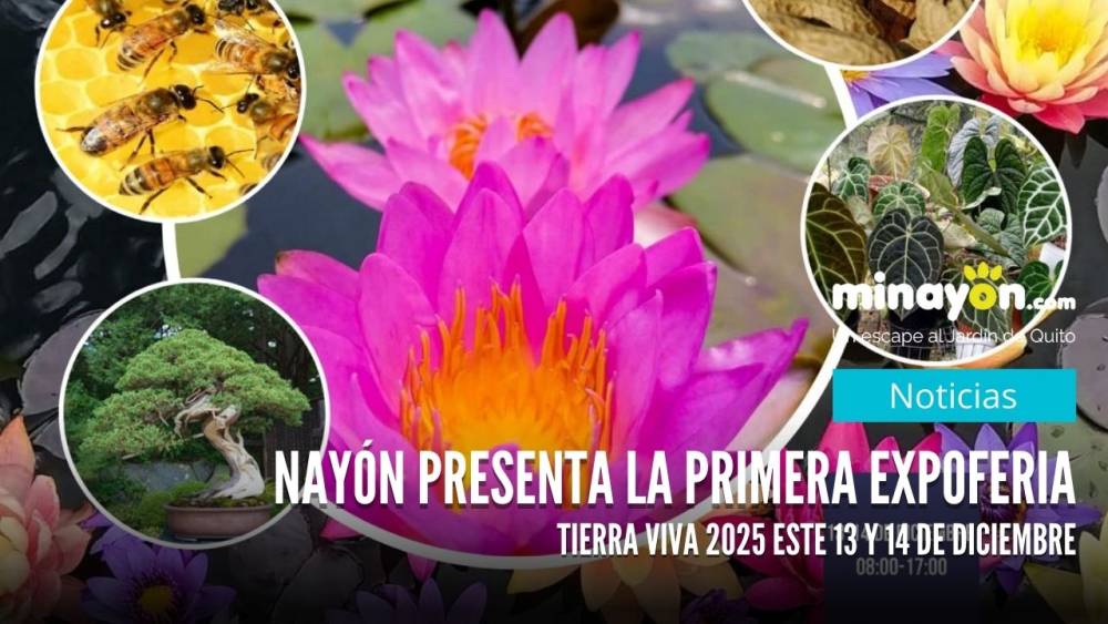 Nayón presenta la primera Expoferia “Tierra Viva 2025” este 13 y 14 de diciembre