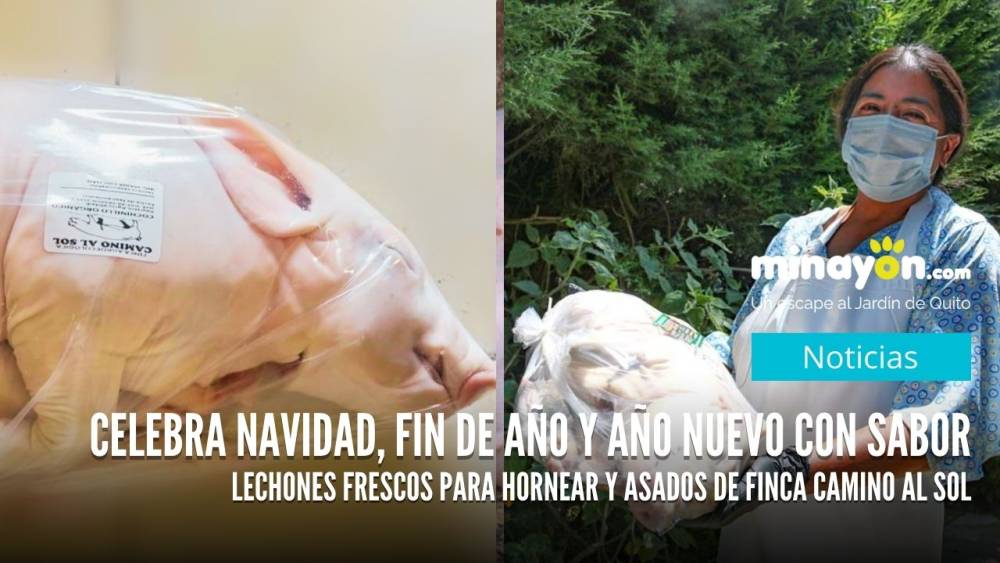 Celebra Navidad, Fin de Año y Año nuevo con sabor, Lechones para Hornear y Asados de Finca Camino al Sol