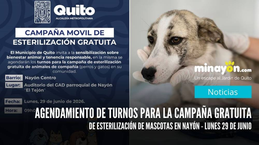 Agendamiento de turnos para la Campaña Gratuita de Esterilización de Mascotas en Nayón