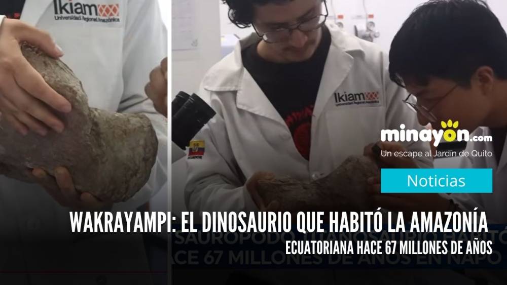 Wakrayampi: El dinosaurio que habitó la Amazonía ecuatoriana hace 67 millones de años