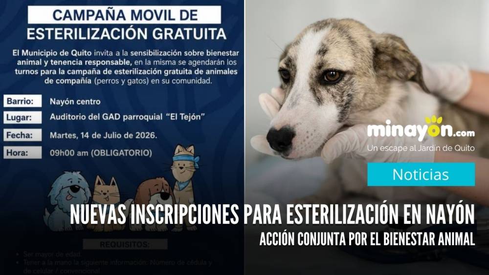 Nuevas inscripciones para esterilización en Nayón, Acción conjunta por el bienestar animal
