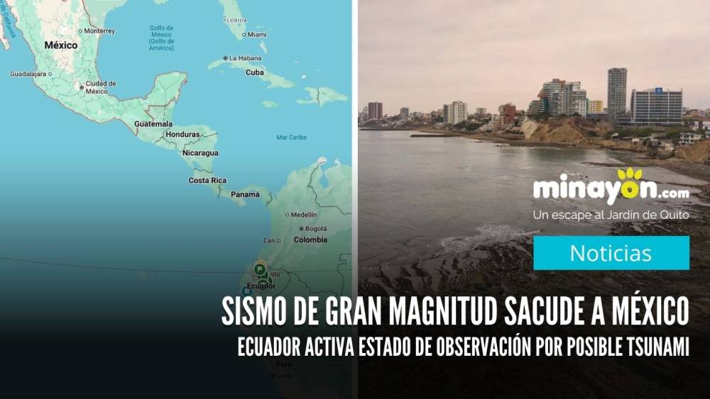 Sismo de gran magnitud sacude a México: Ecuador activa estado de observación por posible tsunami