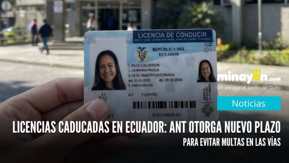 Licencias caducadas en Ecuador: ANT otorga nuevo plazo para evitar multas en las vías