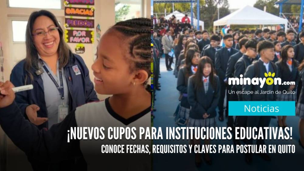 ¡Nuevos cupos para instituciones educativas! Conoce fechas, requisitos y claves para postular en Quito