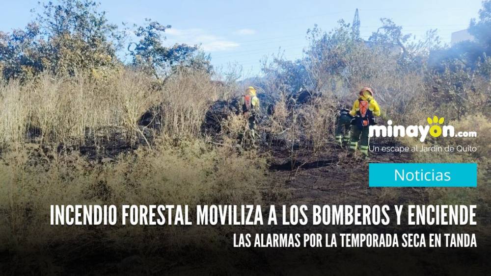 Incendio forestal moviliza a los bomberos y enciende las alarmas por la temporada seca en Tanda
