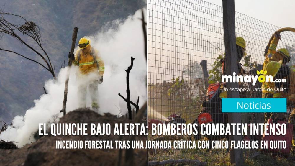 El Quinche bajo alerta: Bomberos combaten intenso incendio forestal tras una jornada crítica con cinco flagelos en Quito