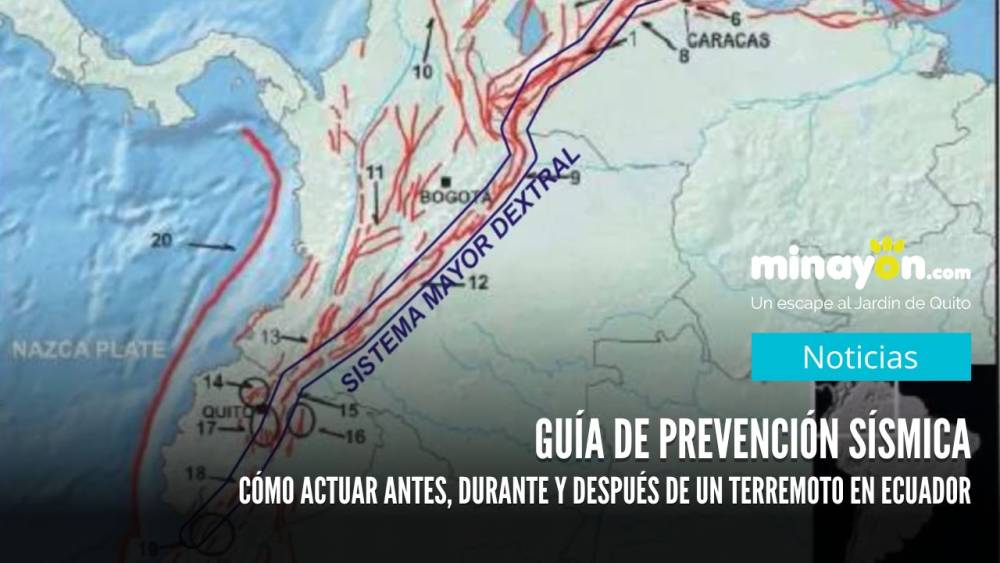 Guía de prevención sísmica: Cómo actuar antes, durante y después de un terremoto en Ecuador