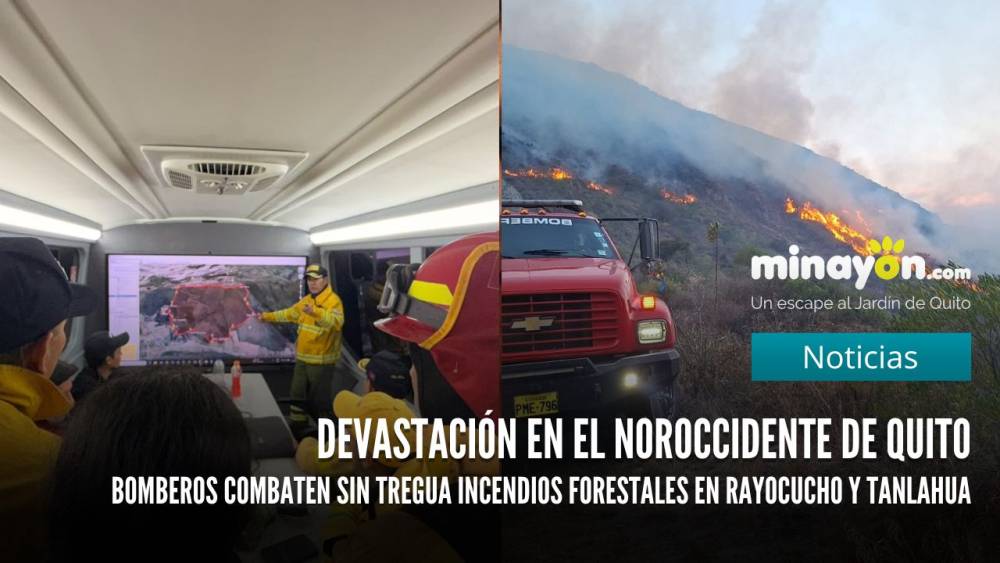 Devastación en el noroccidente de Quito: Bomberos combaten sin tregua incendios forestales en Rayocucho y Tanlahua