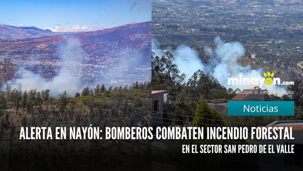 Alerta en Nayón: Bomberos combaten incendio forestal en el sector San Pedro de El Valle