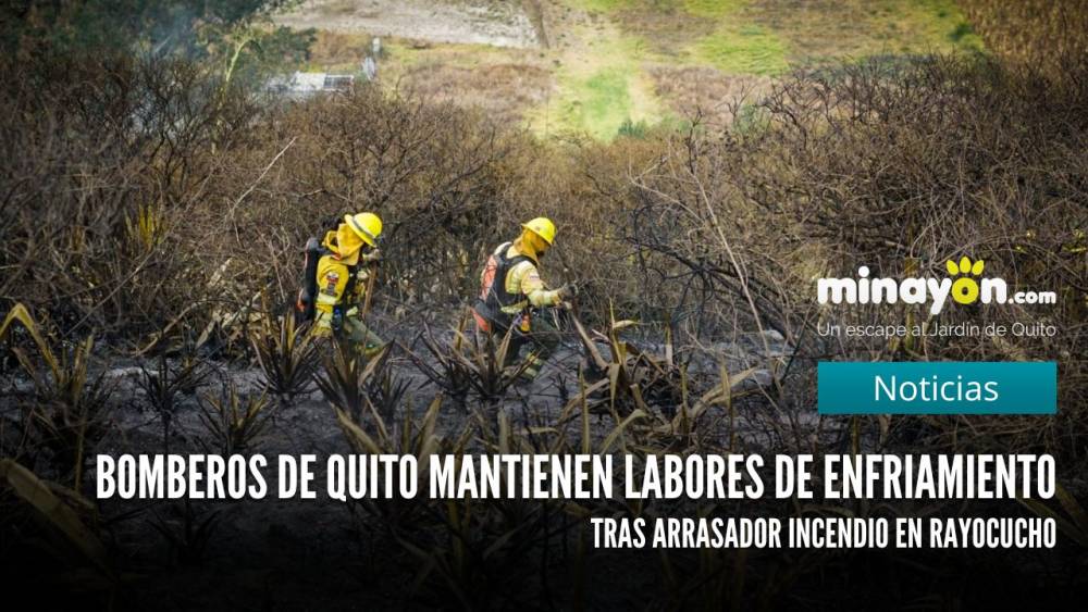 Bomberos de Quito mantienen labores de enfriamiento tras arrasador incendio en Rayocucho