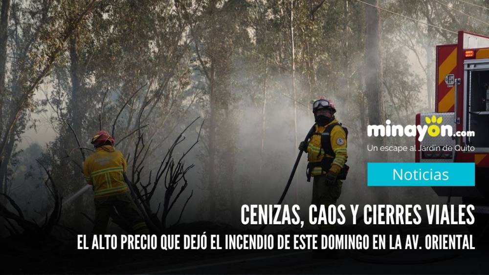 Cenizas, caos y cierres viales: El alto precio que dejó el incendio de este domingo en la Av. Oriental