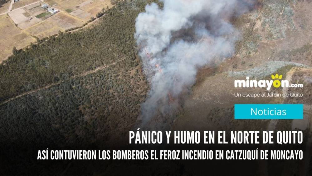 Pánico y humo en el norte de Quito: Así contuvieron los bomberos el feroz incendio en Catzuquí de Moncayo