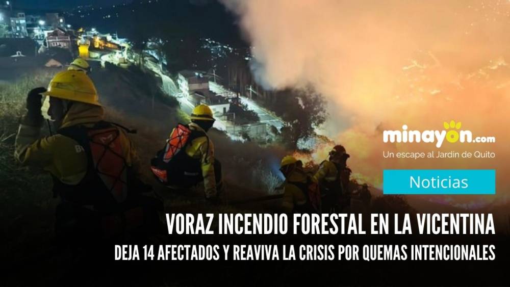 Voraz incendio forestal en La Vicentina deja 14 afectados y reaviva la crisis por quemas intencionales