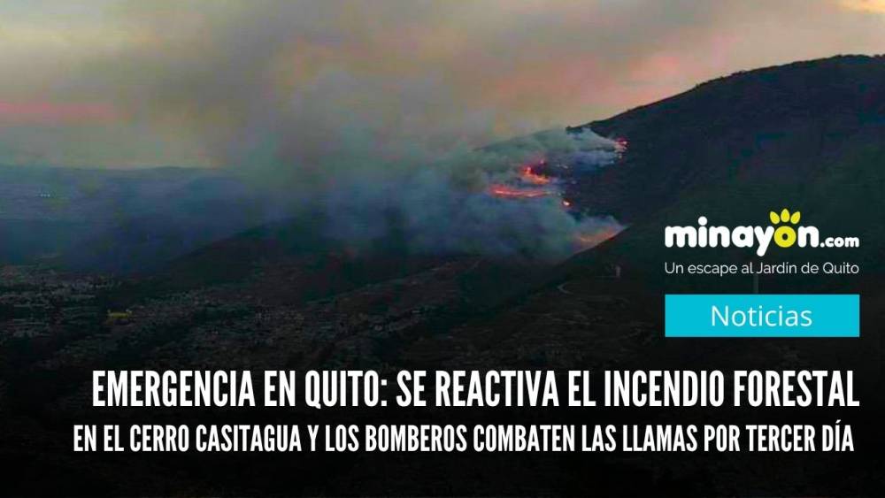Emergencia en Quito: Se reactiva el incendio forestal en el cerro Casitagua y los bomberos combaten las llamas por tercer día consecutivo
