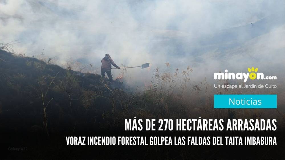 Más de 270 hectáreas arrasadas: Voraz incendio forestal golpea las faldas del Taita Imbabura