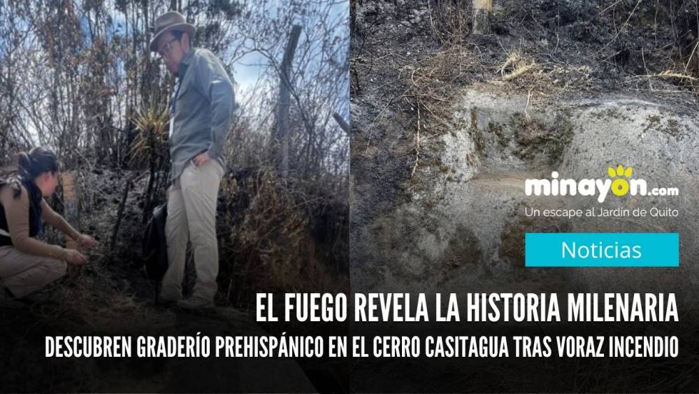El fuego revela la historia milenaria: Descubren graderío prehispánico en el cerro Casitagua tras voraz incendio
