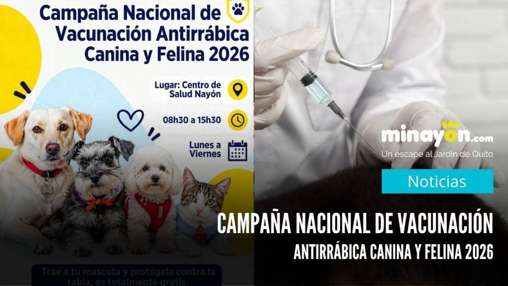 Campaña Nacional de Vacunación Antirrábica Canina y Felina 2026: