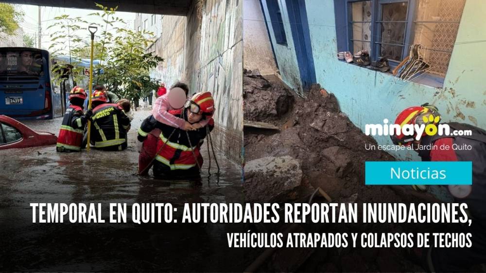Temporal en Quito: autoridades reportan inundaciones, vehículos atrapados y colapsos de techos