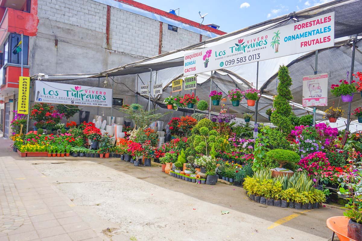 Vivero Los Tulipanes - Sucursal