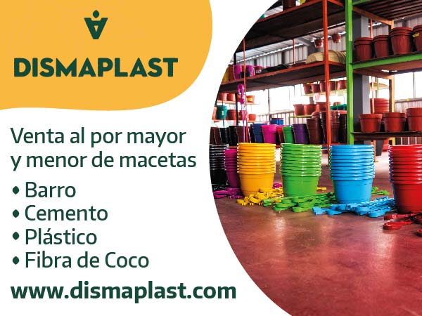 Macetas, artículos de decoración de jardines, MAcetas de Barro, macetas de plástico, macetas de cemento, macetas de fibra de coco, artículos de cerámica para decoración