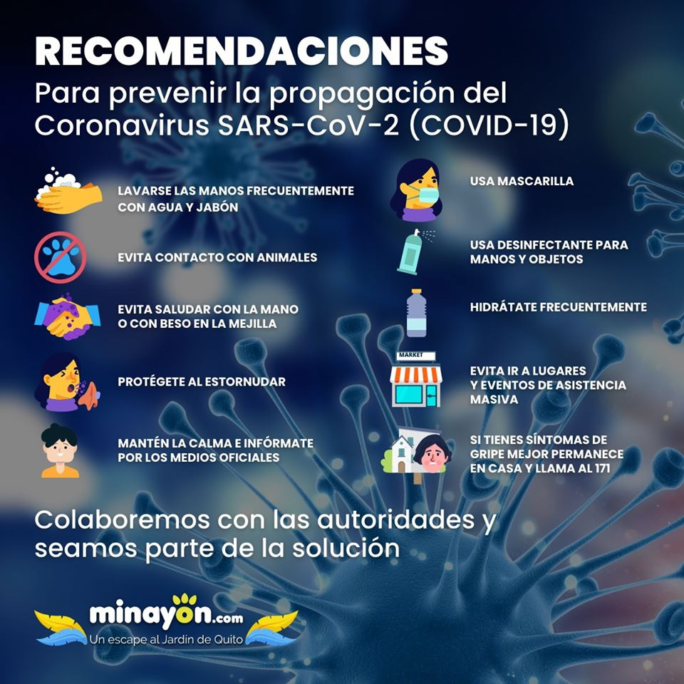 Recomendaciones para prevenir la propagación del virus Covid-19