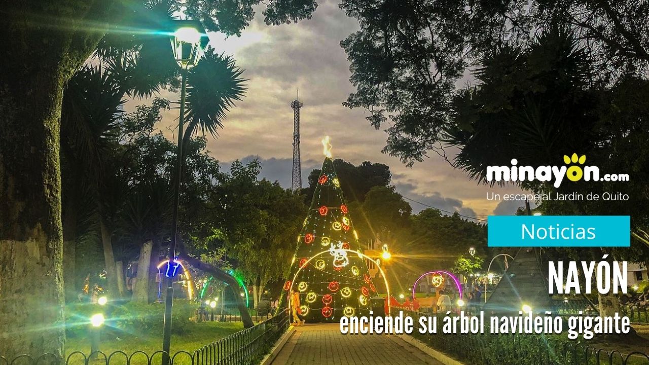 Las Noches Navideñas del Jardín de Quito, Nayón se enciende su árbol navideño gigante