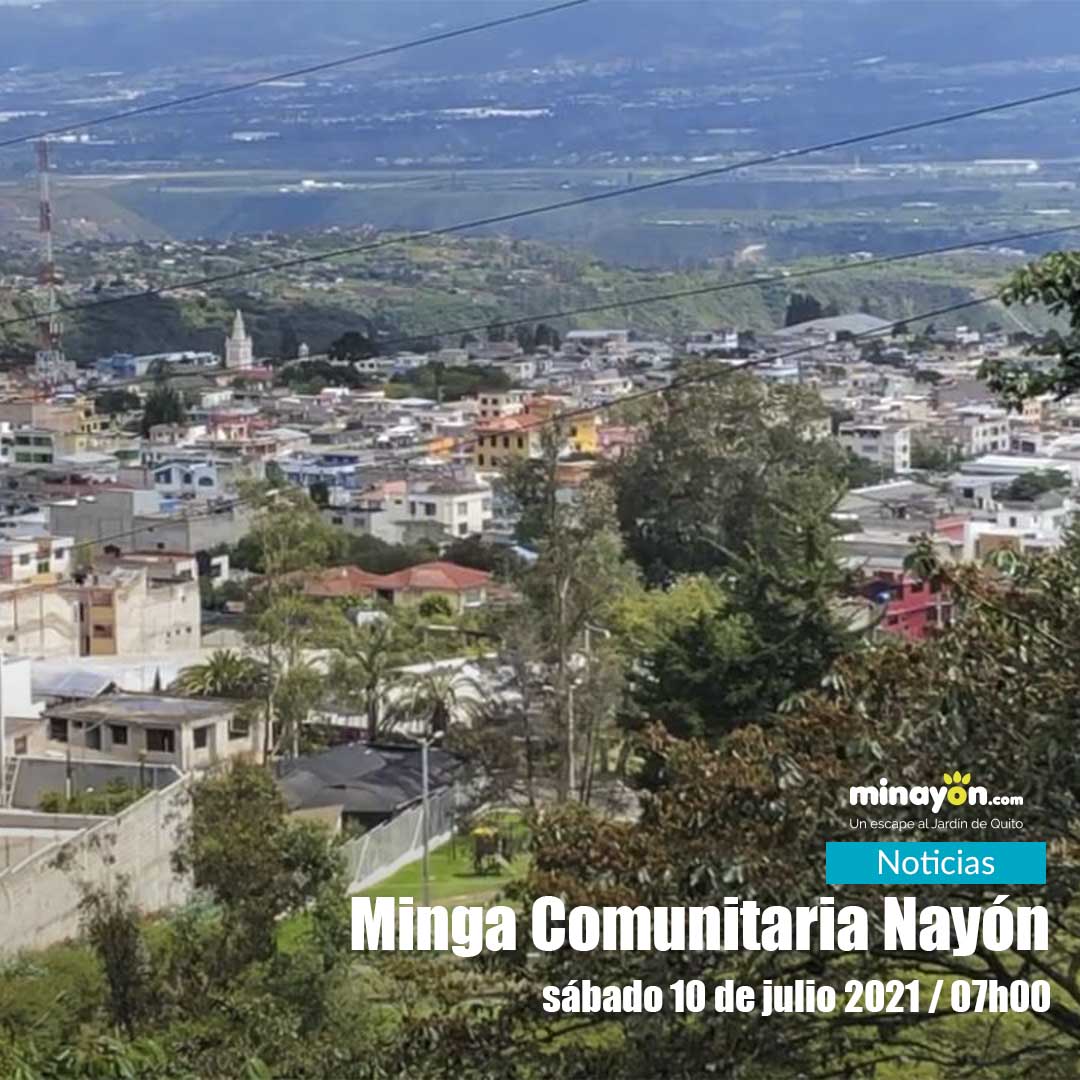 Minga Comunitaria Nayón