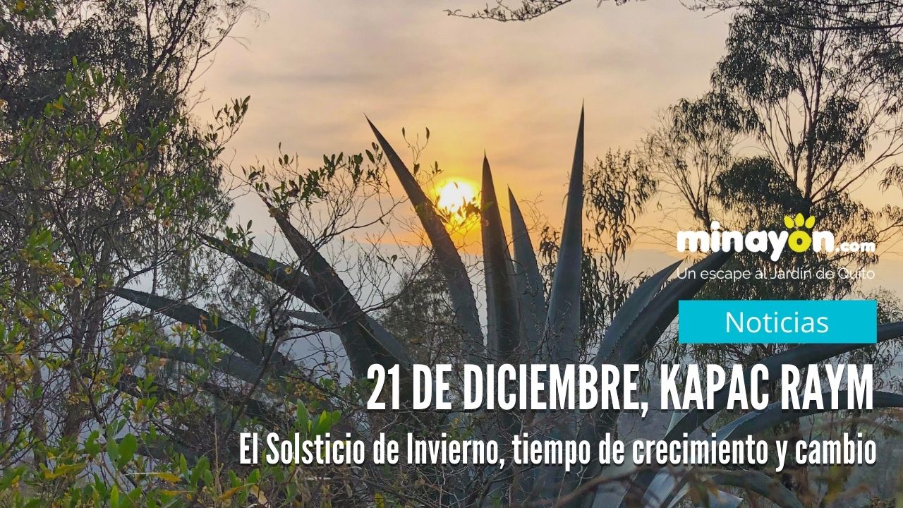 21 de Diciembre se vive el Solsticio de Invierno, Kapac Raymi