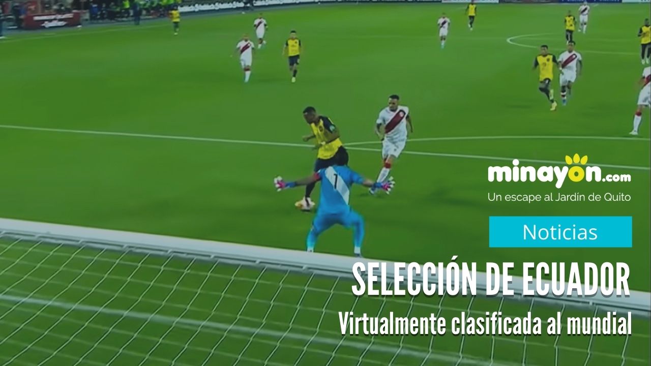 Selección de Ecuador virtualmente clasificado al mundial