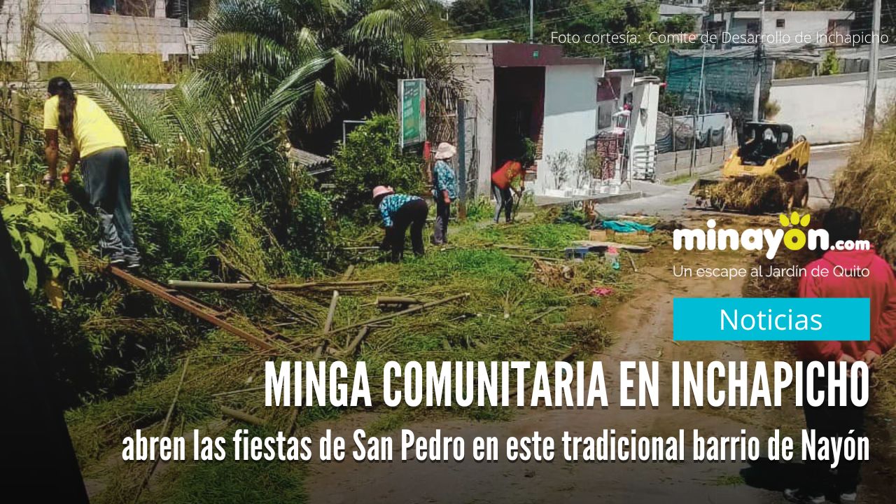 Minga Comunitaria en Inchapicho abren las fiestas de San Pedro en este tradicional barrio de Nayón