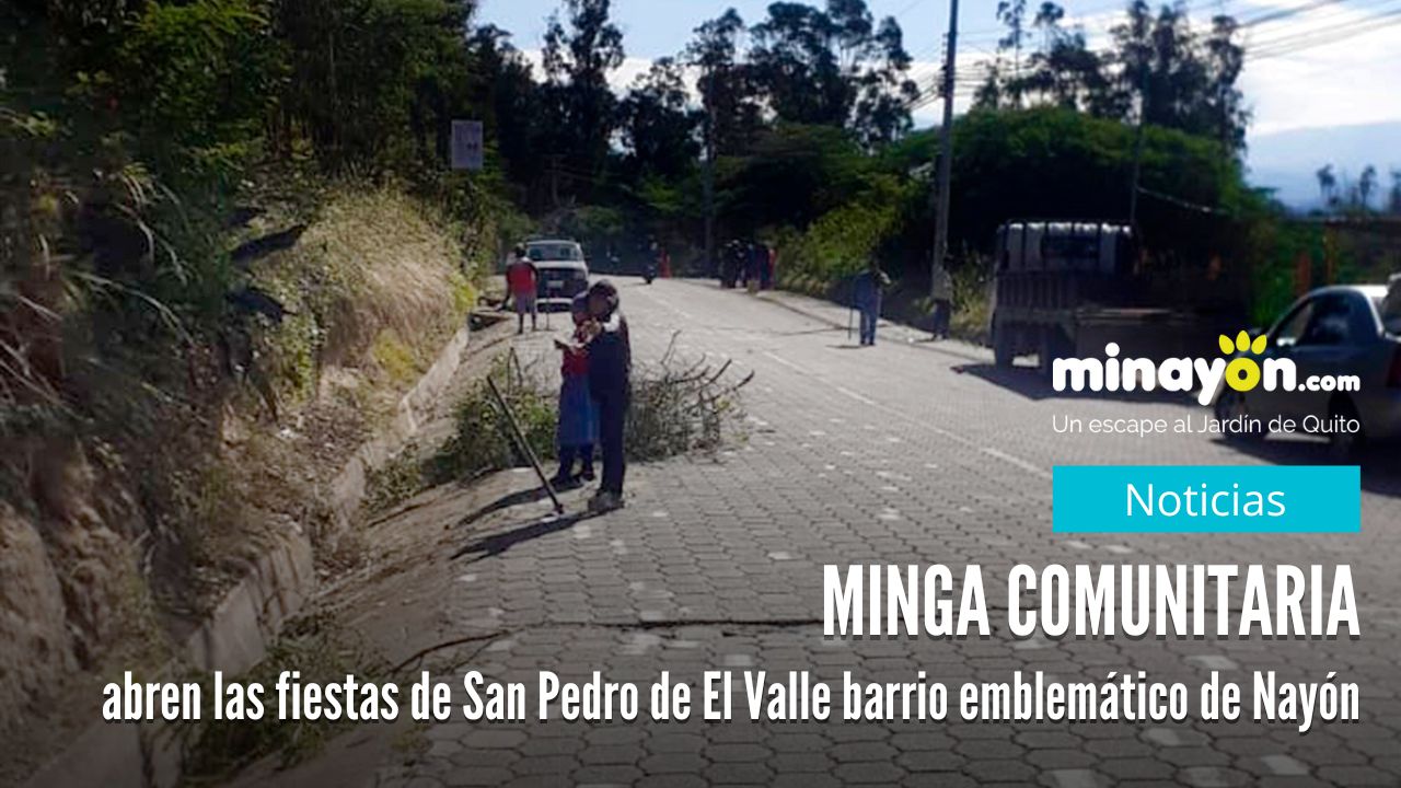 Minga Comunitaria abren las fiestas de San Pedro de El Valle barrio emblemático de Nayón