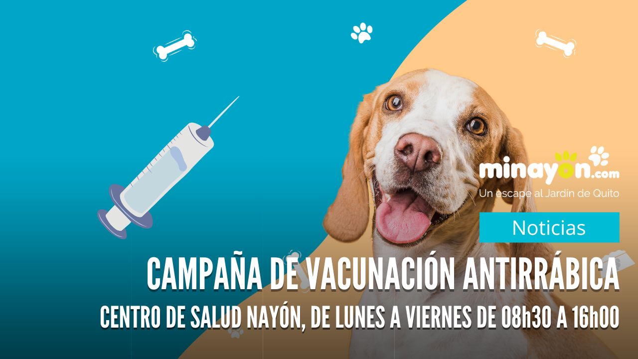 Campaña de Vacunación Antirrábica para Perros y Gatos en Centro de Salud de Nayón