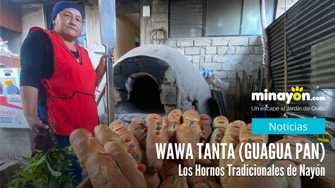 Wawa Tanta (Guagua pan) - Los Hornos Tradicionales de Nayón.