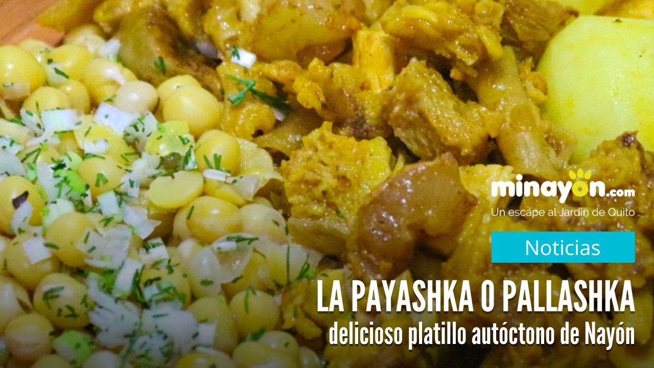 La Payashka o Pallashka, delicioso platillo autóctono de Nayón