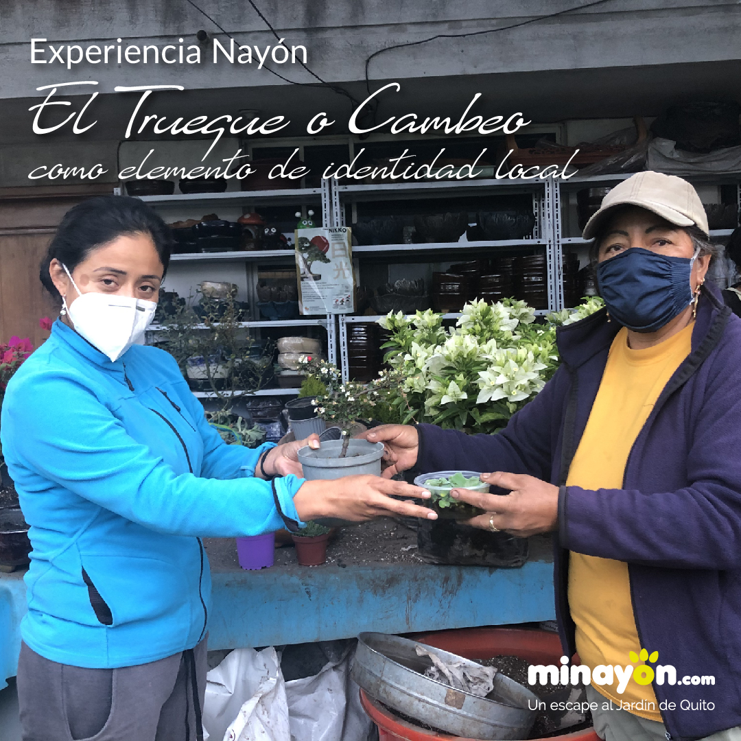 Experiencia en Nayón, El Trueque o Cambeo como elemento de identidad local