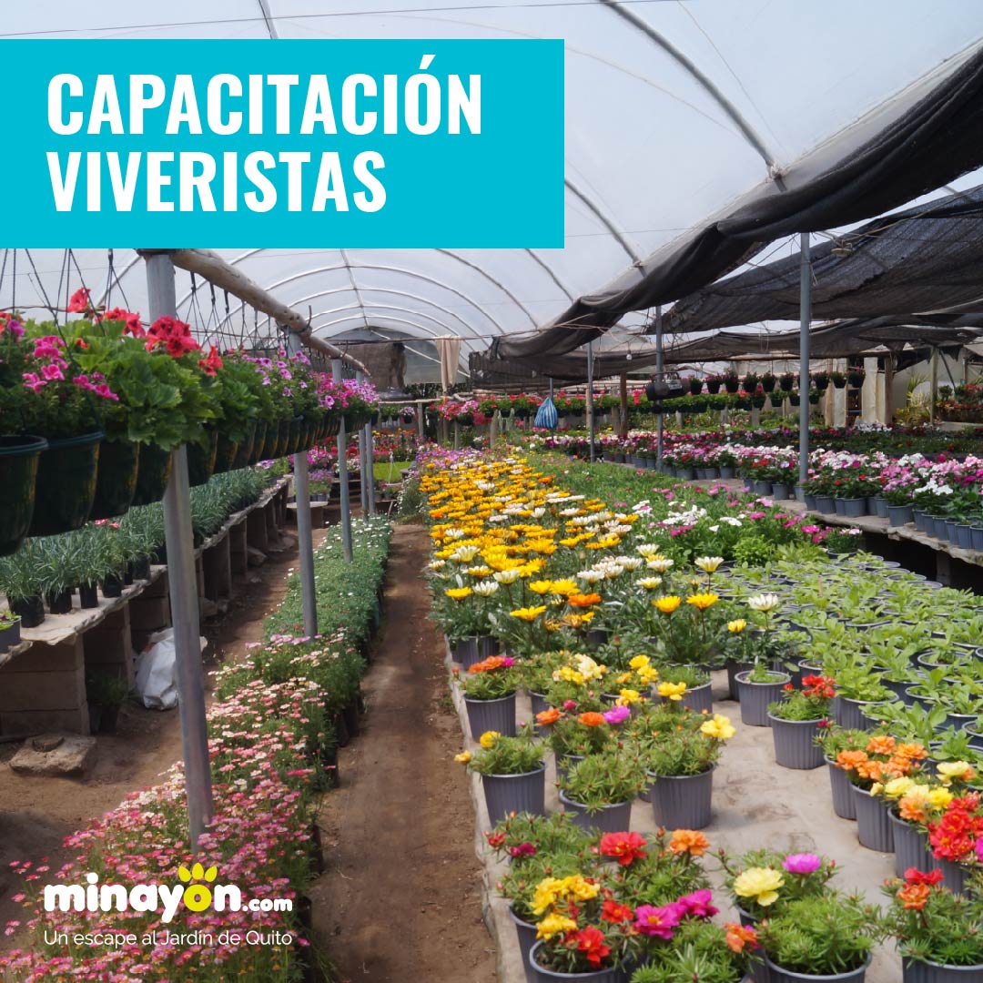 Capacitación Viveristas