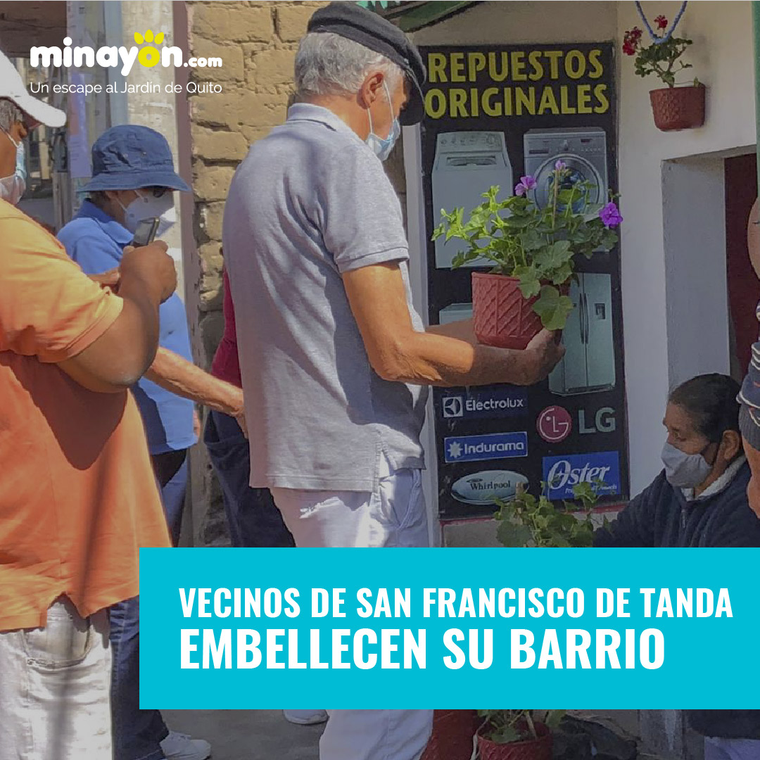 Embellecimiento barrio San Francisco de Tanda