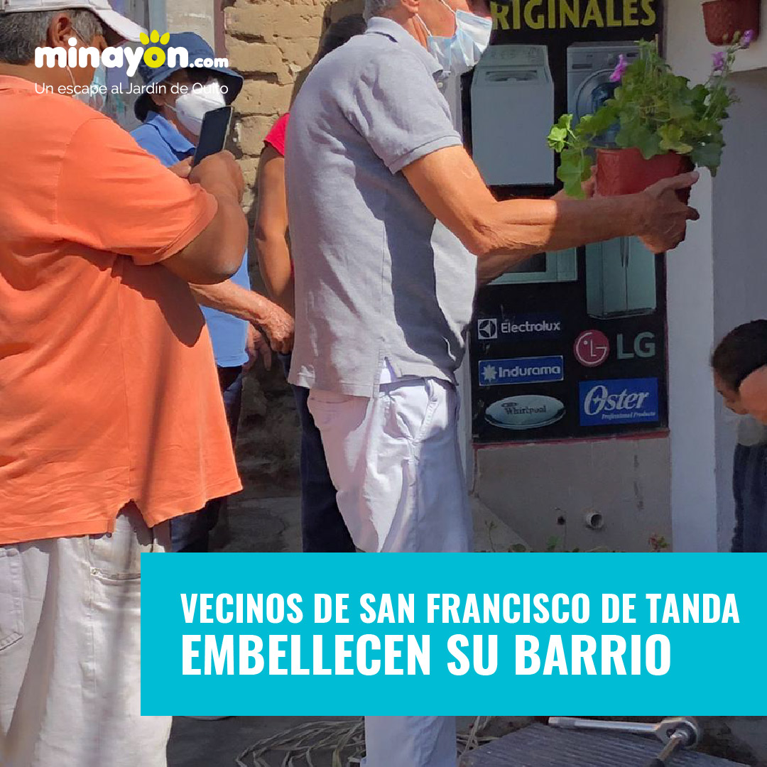 Embellecimiento barrio San Francisco de Tanda