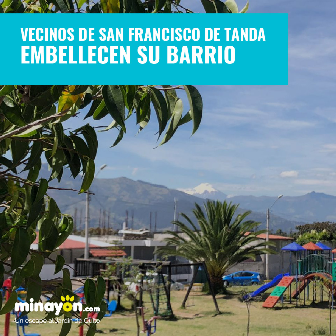 Embellecimiento barrio San Francisco de Tanda