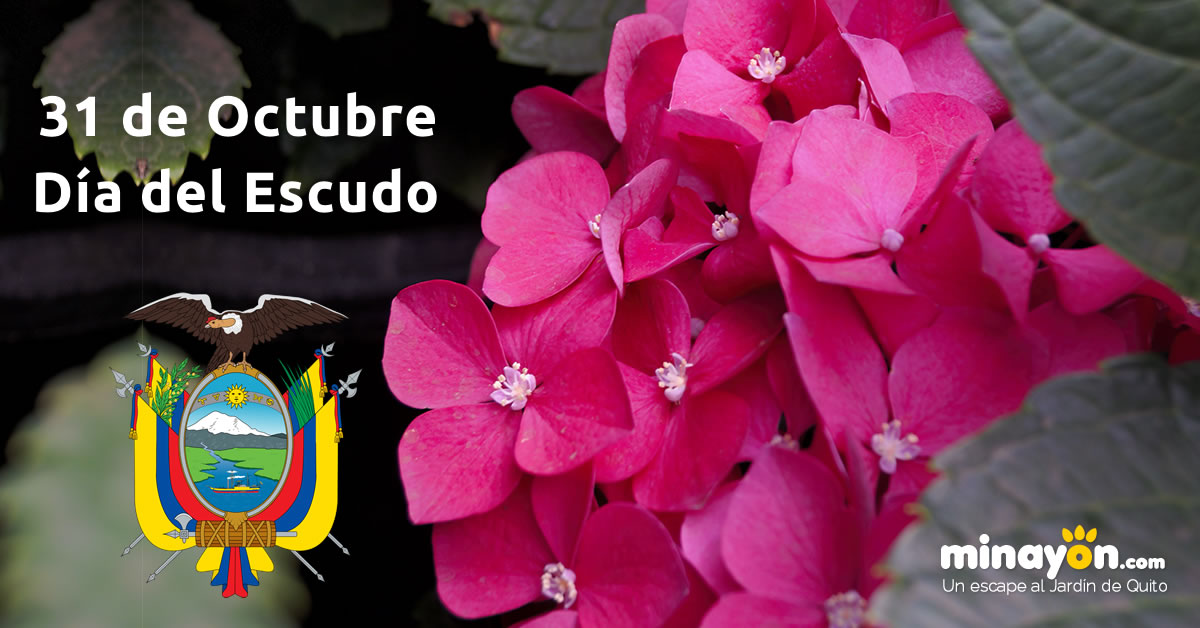 31 de Octubre, Día del Escudo Ecuatoriano