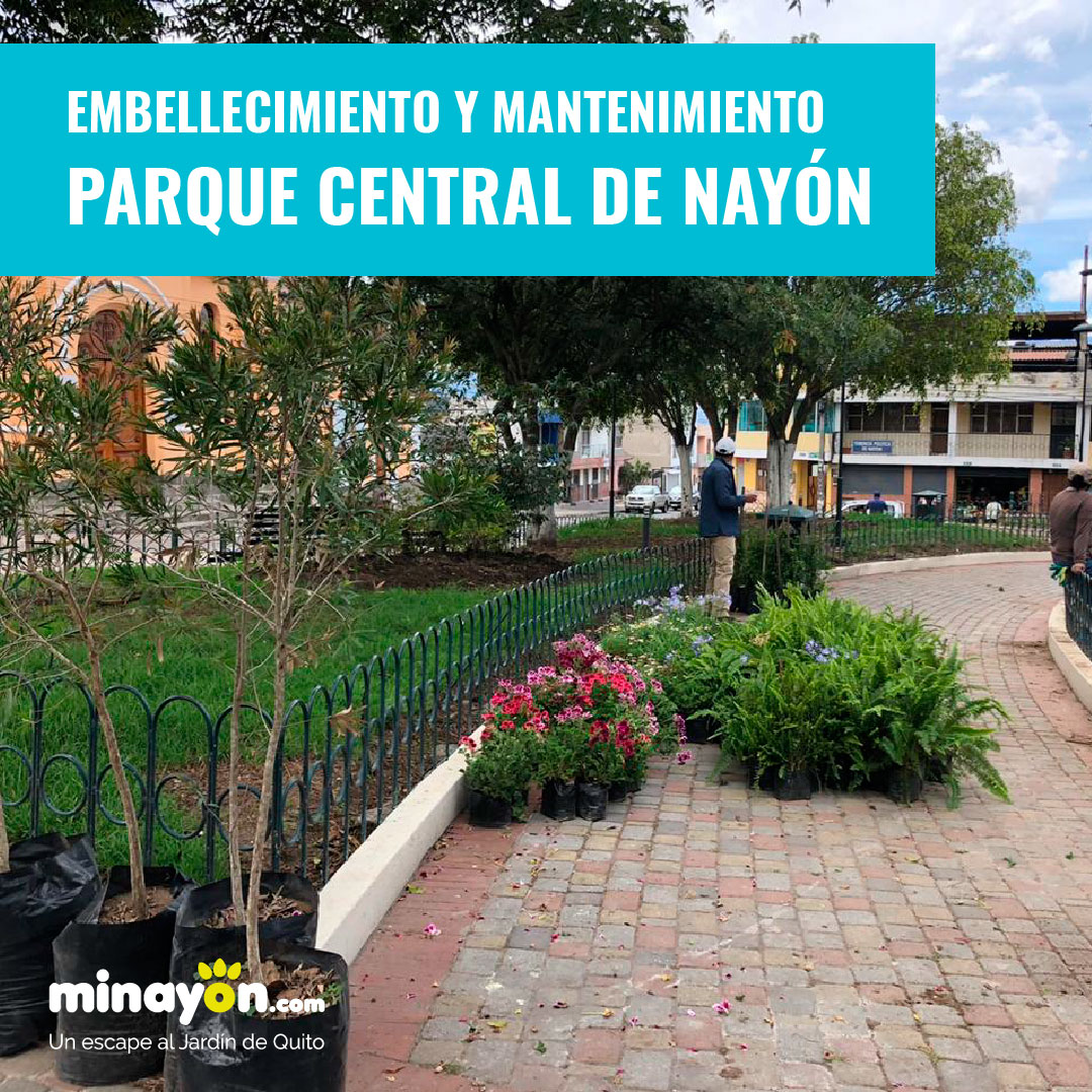 Embellecimiento y Mantenimiento Parque Central de Nayón